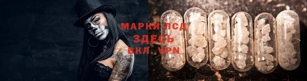прущие крисы Верея