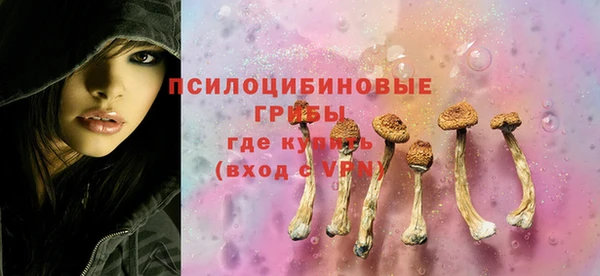 скорость Бородино