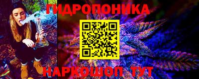 твердый Будённовск