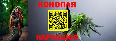 гашик Бузулук