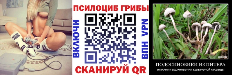 сколько стоит  Вязьма  Галлюциногенные грибы мицелий 